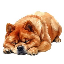 3 adesivi Chow Chow adesivi