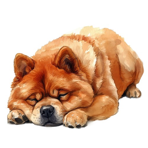 Adesivi chow - chow,