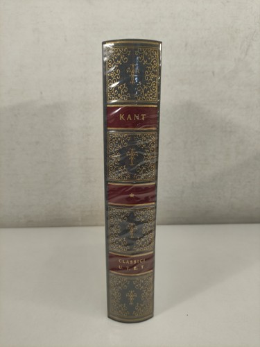 Kant critica della ragion - critica,