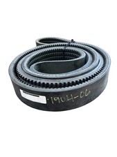 Cinghia trasmissione a