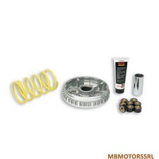 5111225 Variatore MALOSSI