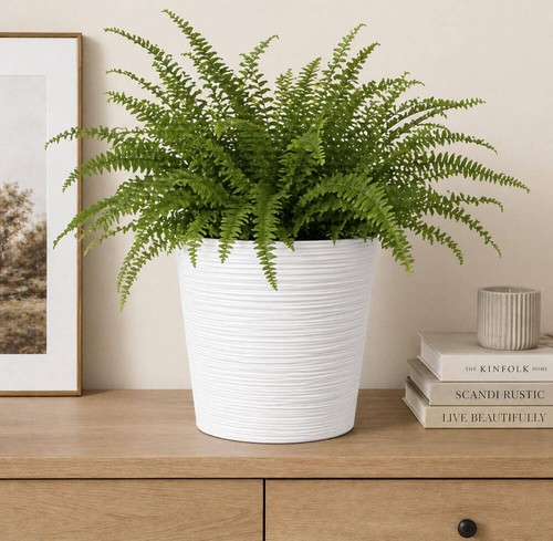 Fora eco vaso rotondo - fora,