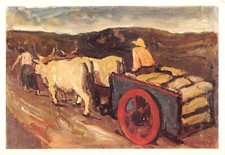 B5071) IMOLA BOLOGNA XIII CONGRESSO BUIATRIA ANACLETO MARGOTTI BARROCCIO