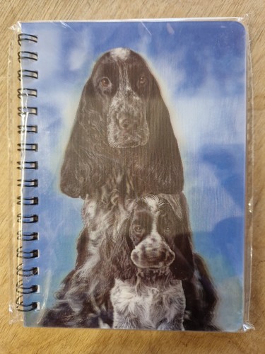 Blue roan english cocker - english,