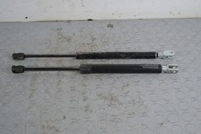 78443 pistoncini portellone - pistoncini,