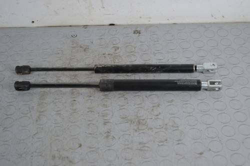 78443 pistoncini portellone - 78443,
