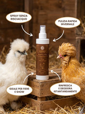 Shampoo a Secco Galline