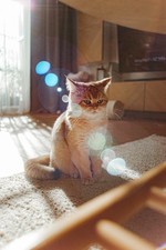 Obiettivo Porst 24mm 1:2.5 2.5/24 Extrem-WW MC Auto (M42) MODIFICATO To Digital