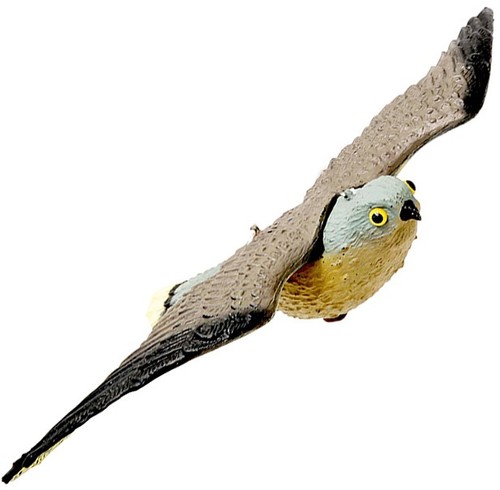 Dissuasore volatili falco - volatili,