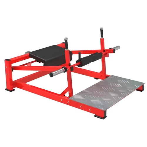 Gluteus machine rfa - gluteus,
