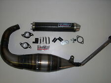 Giannelli CARBON ESD silenziatore tuning marmitta impianto di scarico collettore Aprilia RS 125