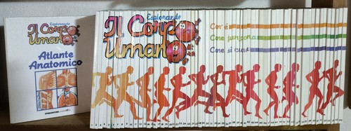 Esplorando corpo umano - esplorando,
