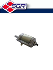 1781120 Motorino Avviamento / Starter PGO	Buggy	250