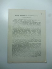 Pizzetti, Indagini