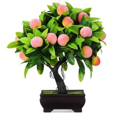  Alberi Di Pesco Finti Bonsai