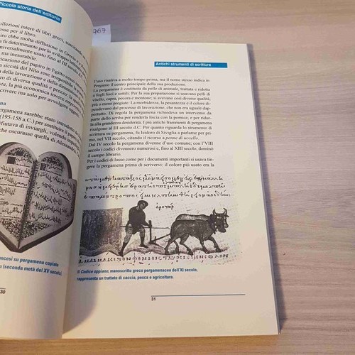 Piccola storia dell editoria - piccola,