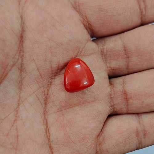 Autentico cabochon corallo - cabochon, di