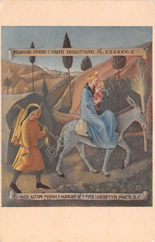Cartolina fuga egitto - cartolina,