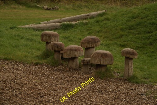 Photo 6x4 toadstool seats - photo,
