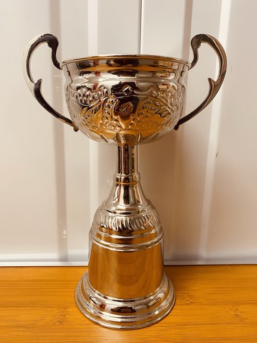 Trofeo argento - argento, 9,5”