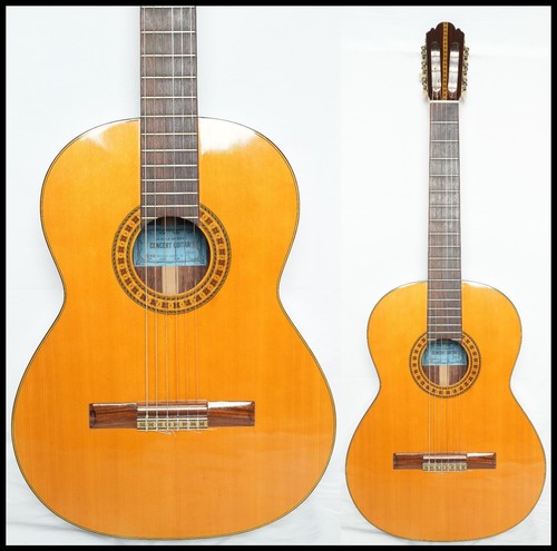 Chitarra classica concerto