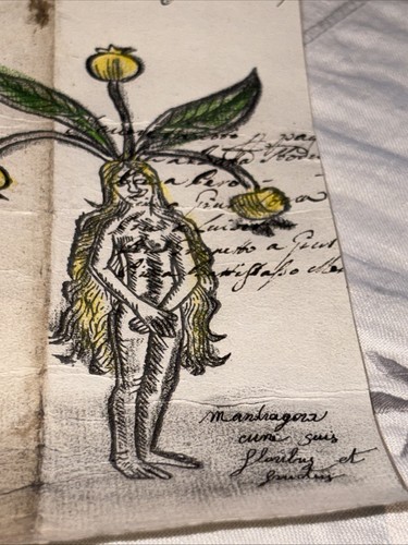 Antico manoscritto 1700 - antico,