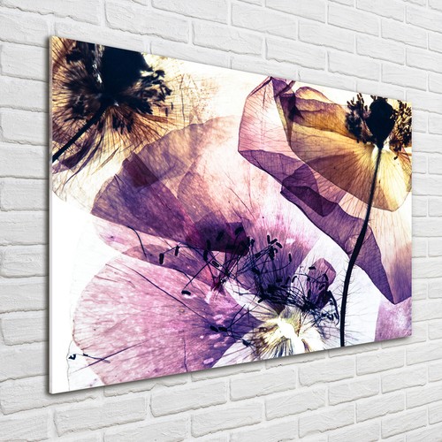 Tulup pittura vetro - su,