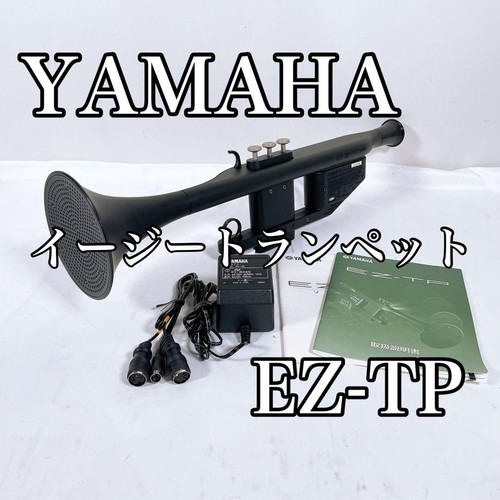 Buone condizioni yamaha easy - yamaha,