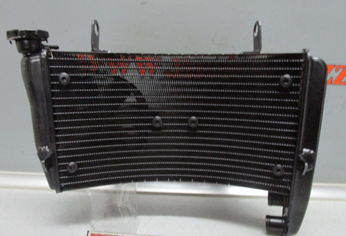 Radiatore acqua ducati 999 - acqua,