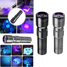 Torcia elettrica per