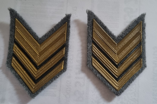 Coppia gradi guardia - gradi, forestale