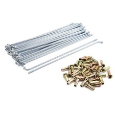 36set cerchio Ruota raggio placcato 180mm lunghezza con nippli per motociclo