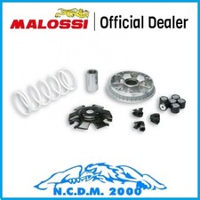 VARIATORE MALOSSI MULTIVAR