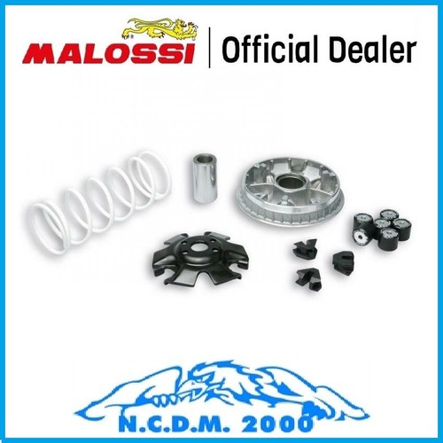 Variatore malossi multivar - variatore,