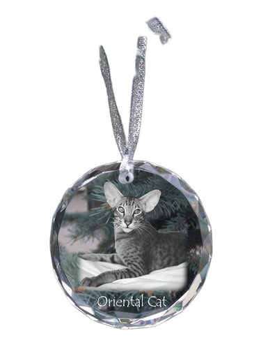 Gatto orientale medaglione - , di