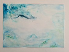 QUADRO SQUALO BALENA