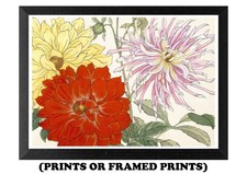 Illustrazione vintage fiore di