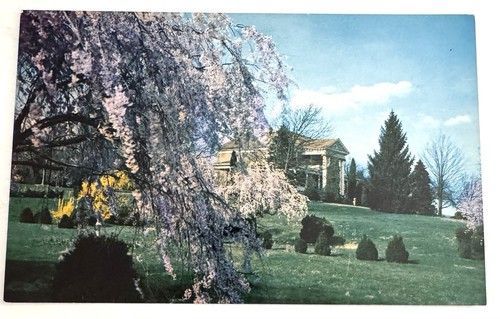 Cartolina jumbo vintage anni - cartolina,