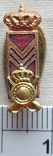 Distintivo fregio esercito - distintivo,