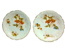 RARO antico PIATTI porcellana