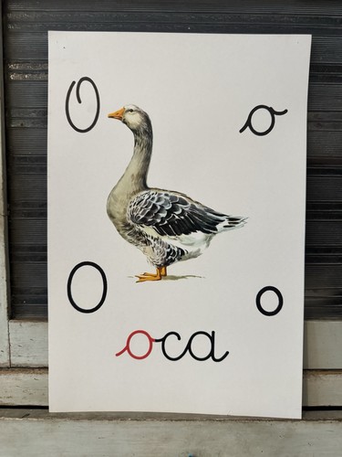 Tavola didattica vintage oca - didattica,
