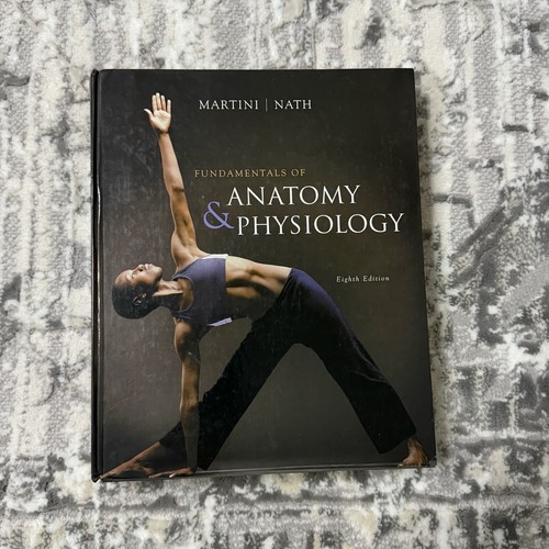 Fundamentals anatomy and - fundamentals,