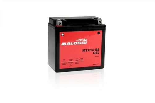 Batteria gel attivata malossi - attivata,