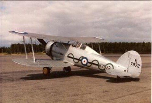 Gloster gladiator larghezza - gloster, (larghezza