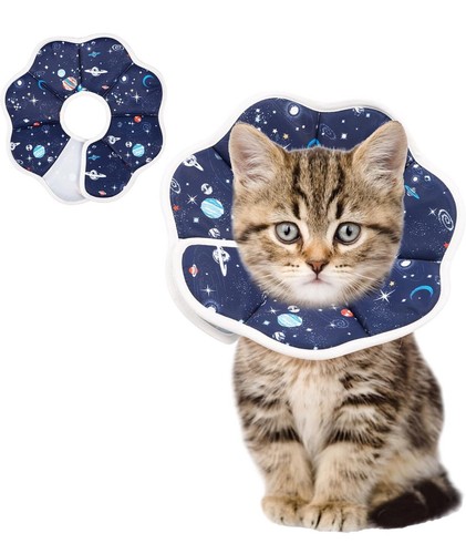 Collare protettivo gatto - collare,