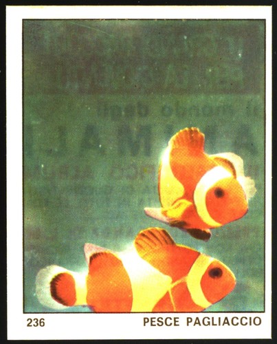 Mondo degli animali - il, (1970)