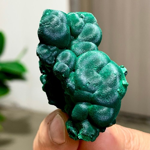 41g malachite lucida naturale - 41g,