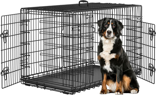 Gabbia per cani - cani, kennel