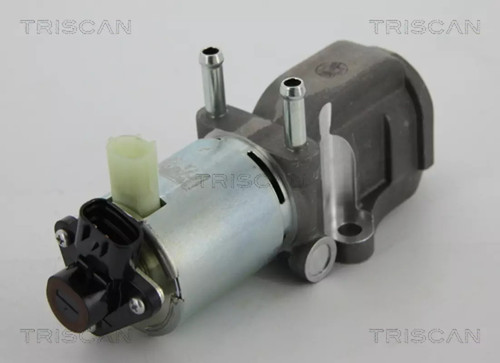 Valvola egr triscan 8813 - egr,