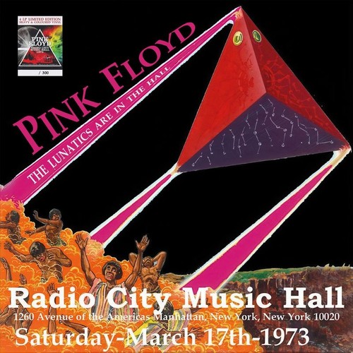Pink floyd the lunatics are - pink,